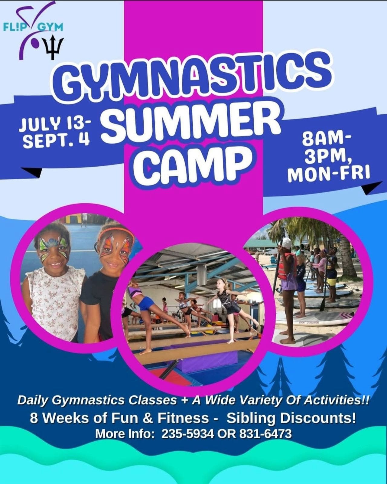 Flip 'n Gym Gymnastics Summer Camp