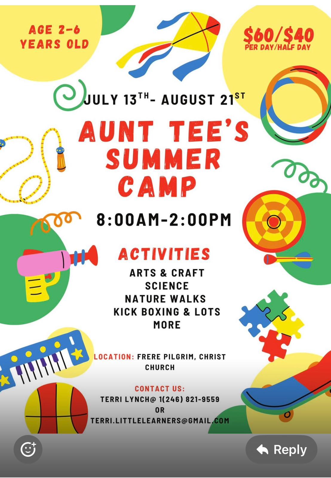 Aunt Tee's Summer Camp